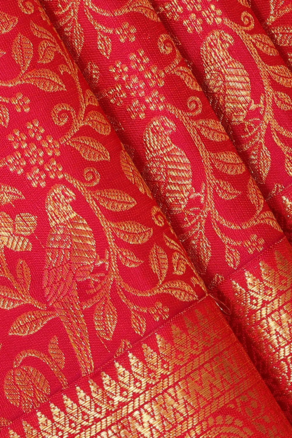 Image of Kanchipattu Rani Pink Brocade Saree